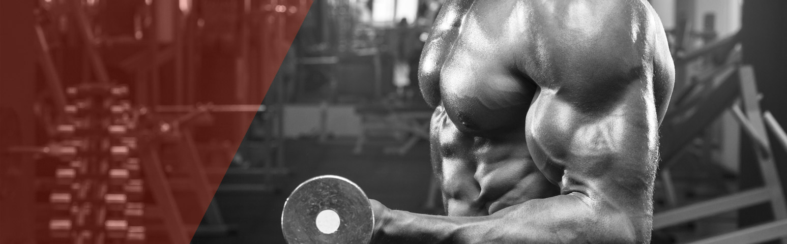  FITNESS & BODY BUILDING
