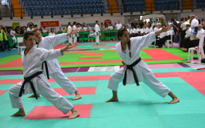 karate 3