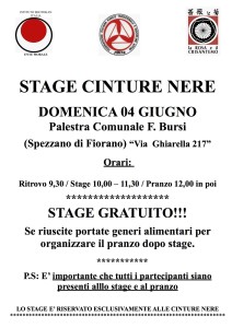 Stage cinture nere gruppo giugno 2017