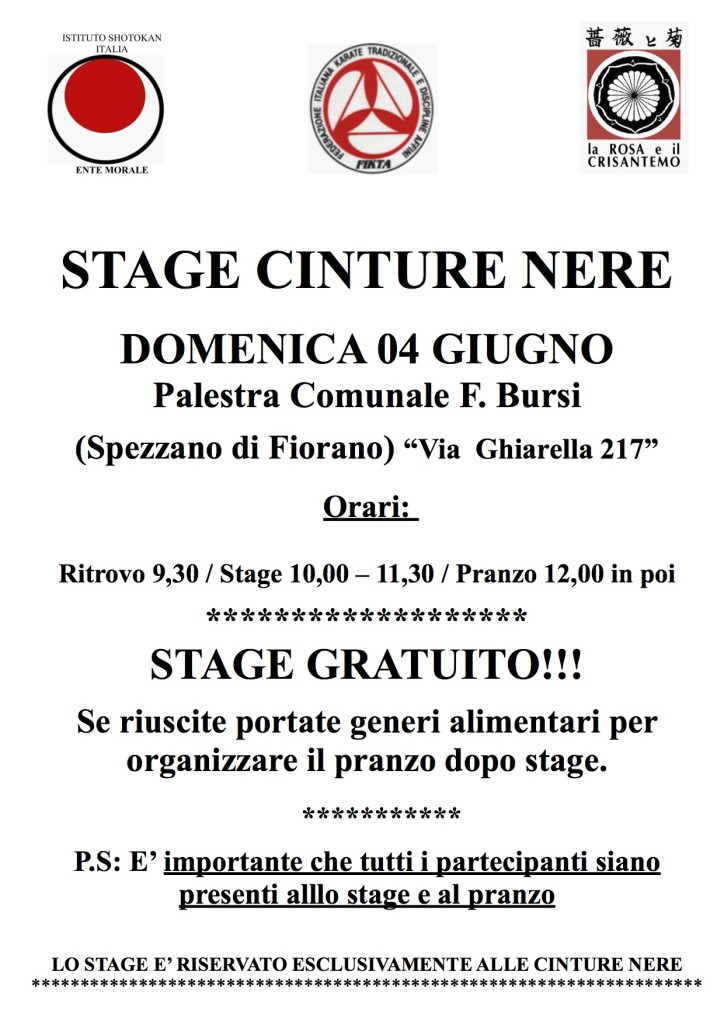 STAGE CINTURE NERE