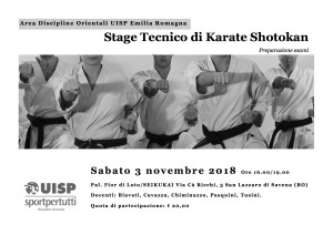 karate3nov